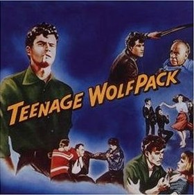 VARIOUS ARTISTS - Teenage Wolfpack
