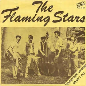 FLAMING STARS - Tennesse Woman / What I Do