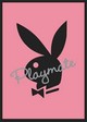 PLAYBOY - PLAYMATE