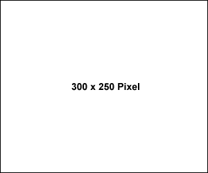 300 x 250 Pixel Rectangle