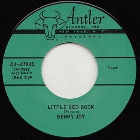 BENNY JOY - Crash The Party