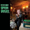 PETER BUCK