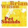 BRIAN WILSON