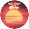 SUNBIRDS