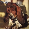 DUFFY