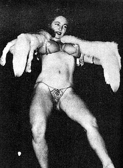Virginia Bell