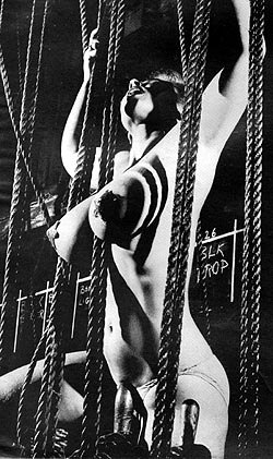 Virginia Bell