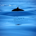 Séance - Blue Dolphin Blue