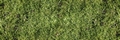 Fototapete Grasgrün Vlies - Simple Green