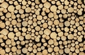 Fototapete Baumstämme Vlies - Stock of Wood
