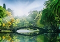 Fototapete Brücke im Park