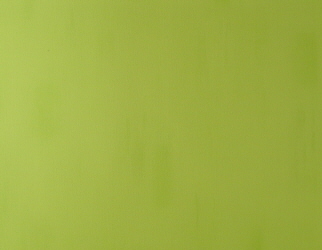 UNI GREEN - TAPETE auf einer Richterswil Wunschliste / Geschenkidee