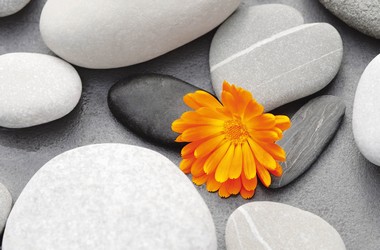 Fototapete - Riesenposter - A heart among Stones - Klicken f�r gr�ssere Ansicht